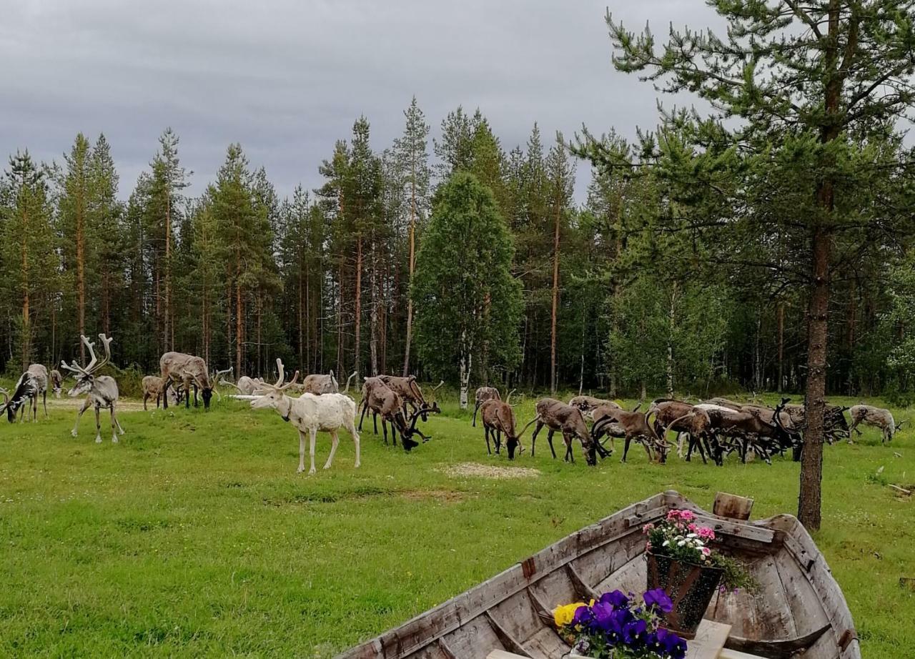 Vuotson Maja B&B Eksteriør billede