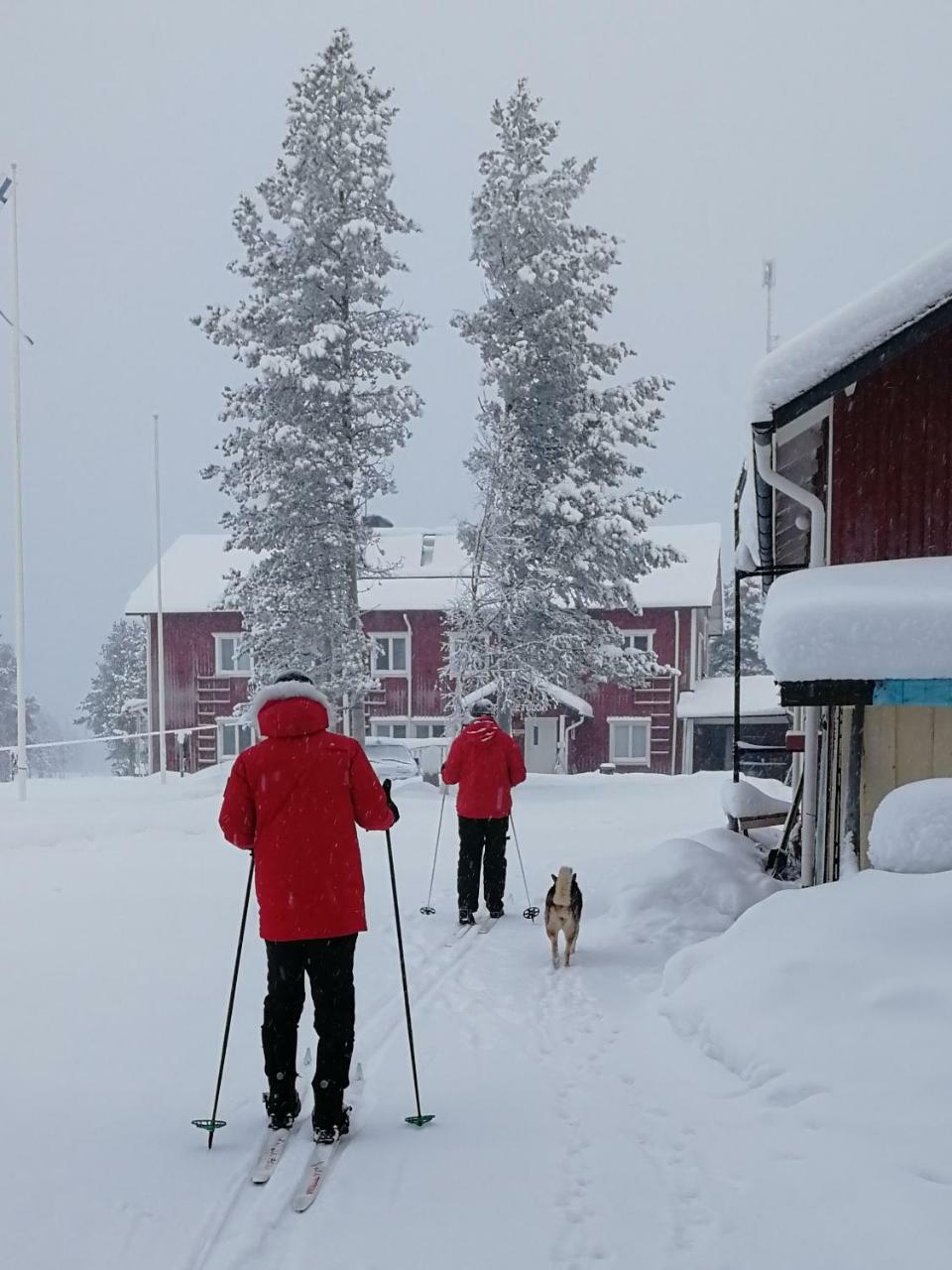 Vuotson Maja B&B Eksteriør billede